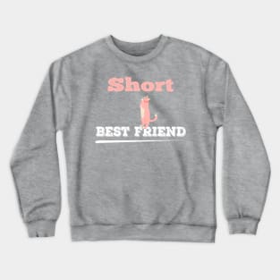 short best freind gift,Best Friend Gift,Best Friend Birthday Gift, Friendship Gift Crewneck Sweatshirt